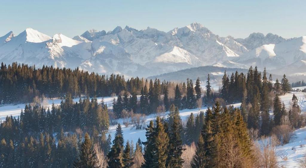 Malgosia Regionalna - 10 Minut Na Piechote Do Stoku Narciarskiego I Term Bania - Posilki Serwowane W Budynku Obok Bialka Tatrzanska Exterior foto